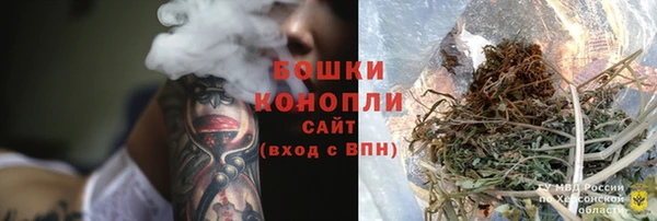 гидра Верея