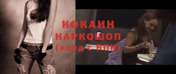 гидра Верея