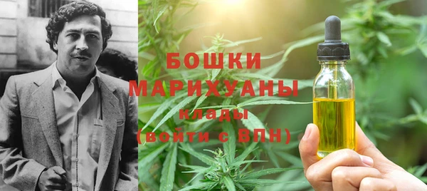 гидра Верея
