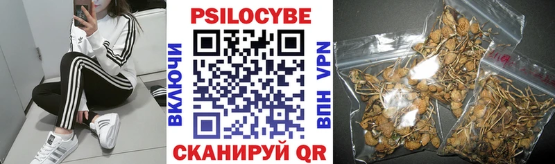 Галлюциногенные грибы MAGIC MUSHROOMS  Нижневартовск 
